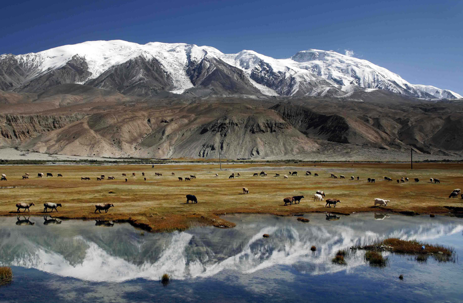 ��ͷ�� | �ĵ�ͭ�����������������÷�����jdb������վӪҵ�½ṹ