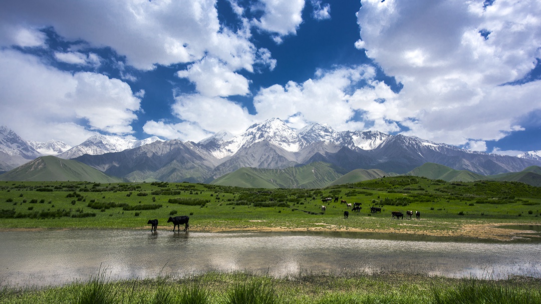 ��ͷ�� | һ����jdb������վ�ֳɾ�������ͭ��