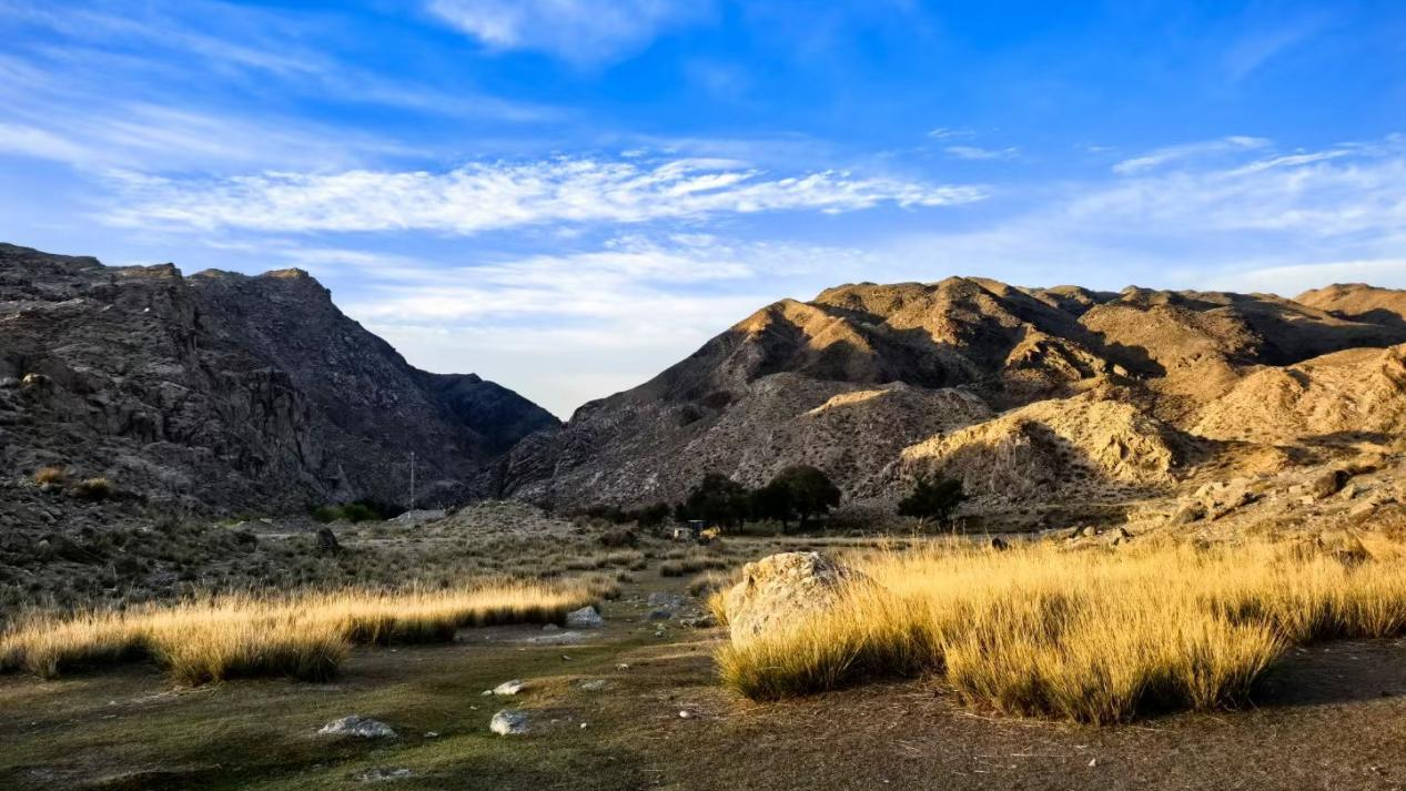 jdb������վ | ˶���������������������������+��ҵˮ���óͷ�+�ǻۻ���ά��ͷ������