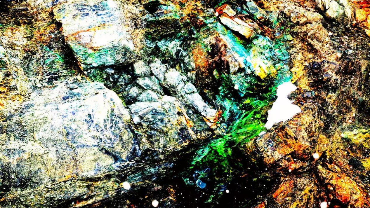 jdb������վ | ˶���������������������������+��ҵˮ���óͷ�+�ǻۻ���ά��ͷ������